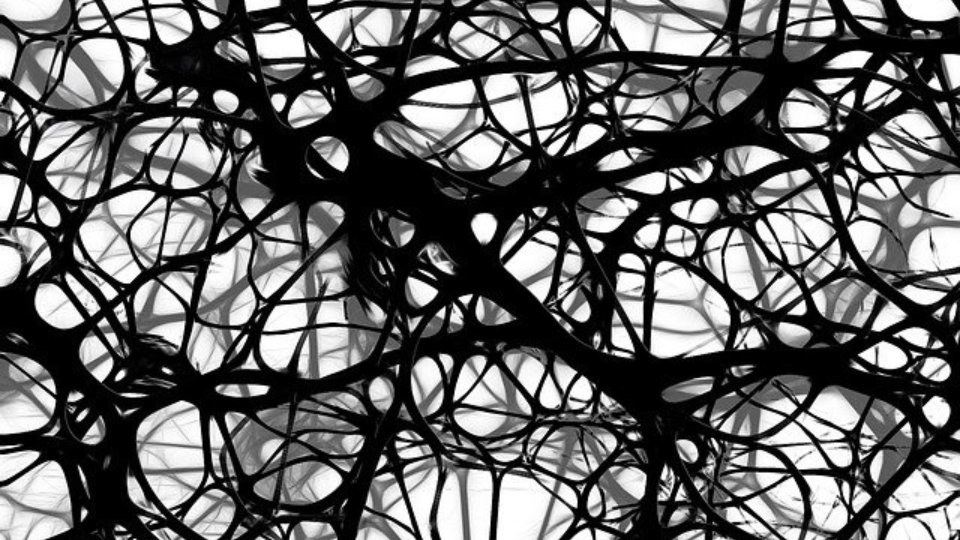 black neurons